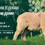 Заставка для - Курбан-Байрам 2025