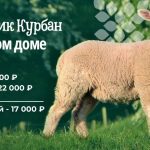 Заставка для - Курбан-Байрам 2025